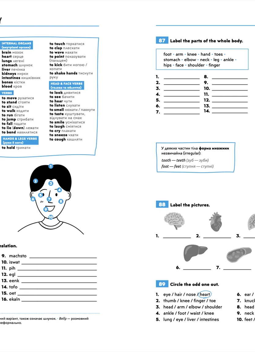English Vocabulary Practice (А0-А2) - Книга для поповнення словникового запасу — Photo 5
