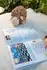 Воркбук для вивчення англійської мови - Sponge Bob (A1) — Photo 7